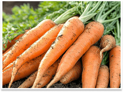 carrots
